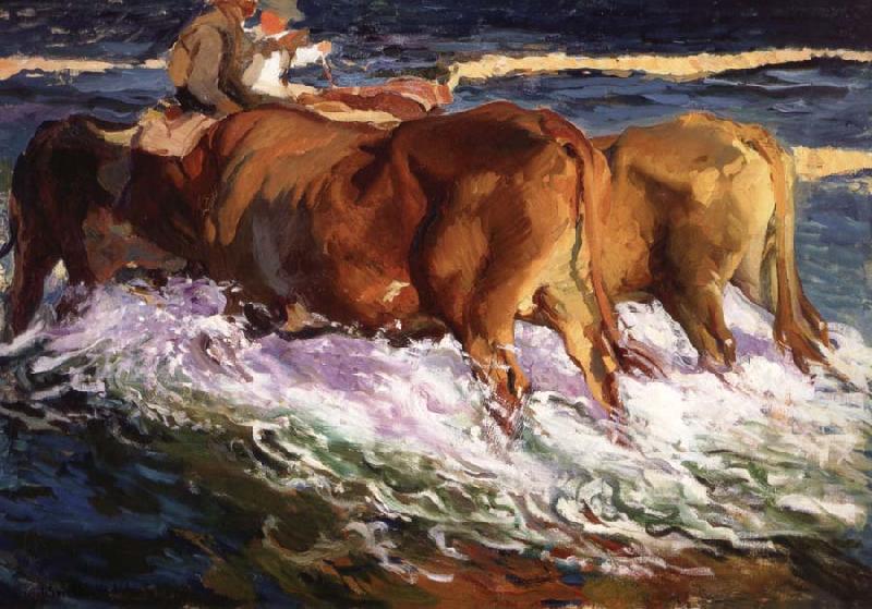 Joaquin Sorolla Y Bastida Oxen Study for the Afternoon Sun